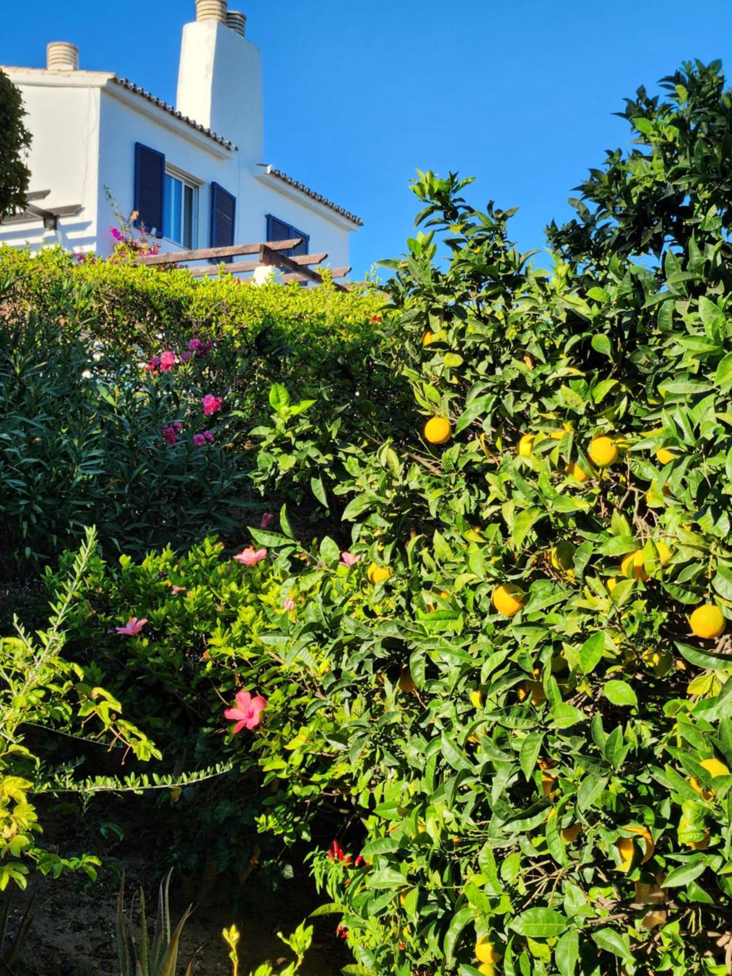 Elena Flat Lovely Paradise Above The Sea Sitio de Calahonda 외부 사진